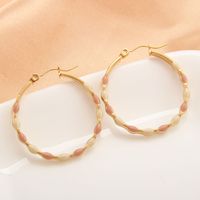 1 Pair IG Style Simple Style Round Enamel 304 Stainless Steel Gold Plated Earrings main image 3