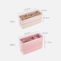 Casual Solid Color Plastic Lunch Box main image 2