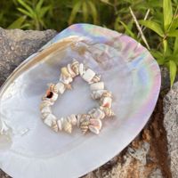 Beach Geometric Shell Irregular Women's Bracelets sku image 3