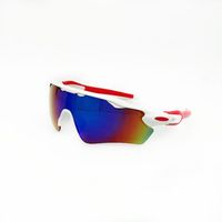 Men's Casual Color Block Pc Oval Frame Half Frame Sunglasses sku image 10