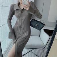 Women's Shirt Dress Casual Simple Style Turndown Long Sleeve Solid Color Midi Dress Daily Street main image 6