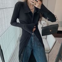 Women's Shirt Dress Casual Simple Style Turndown Long Sleeve Solid Color Midi Dress Daily Street main image 9
