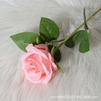Elegant Rose Flannel Imitation Plants 1 Piece sku image 19