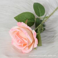 Elegant Rose Flannel Imitation Plants 1 Piece sku image 14