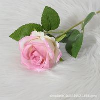 Elegant Rose Flannel Imitation Plants 1 Piece sku image 17