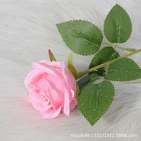 Elegant Rose Flannel Imitation Plants 1 Piece sku image 13