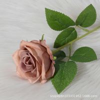 Elegant Rose Flannel Imitation Plants 1 Piece sku image 15