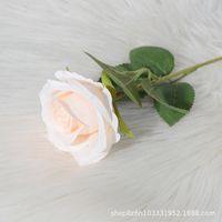 Elegant Rose Flannel Imitation Plants 1 Piece sku image 21