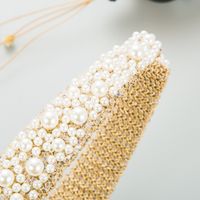 Elegante Lujoso Color Sólido Tela Embutido Perlas Artificiales Banda Para El Cabello main image 3