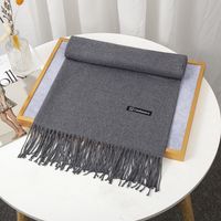Women's Simple Style Solid Color Imitation Cashmere Tassel Scarf sku image 4