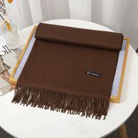 Women's Simple Style Solid Color Imitation Cashmere Tassel Scarf sku image 5