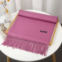 Women's Simple Style Solid Color Imitation Cashmere Tassel Scarf sku image 21