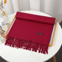 Women's Simple Style Solid Color Imitation Cashmere Tassel Scarf sku image 25