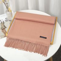 Women's Simple Style Solid Color Imitation Cashmere Tassel Scarf sku image 17