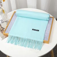 Women's Simple Style Solid Color Imitation Cashmere Tassel Scarf sku image 29