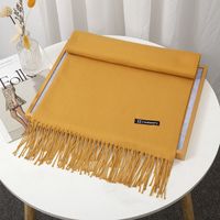 Women's Simple Style Solid Color Imitation Cashmere Tassel Scarf sku image 33