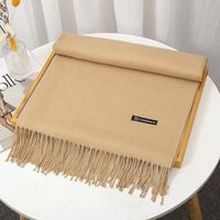 Women's Simple Style Solid Color Imitation Cashmere Tassel Scarf sku image 12