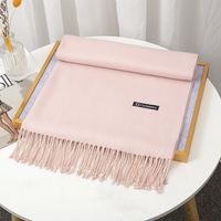 Women's Simple Style Solid Color Imitation Cashmere Tassel Scarf sku image 14