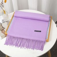Women's Simple Style Solid Color Imitation Cashmere Tassel Scarf sku image 20