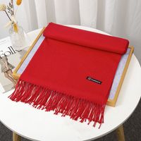 Women's Simple Style Solid Color Imitation Cashmere Tassel Scarf sku image 24