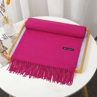 Women's Simple Style Solid Color Imitation Cashmere Tassel Scarf sku image 22