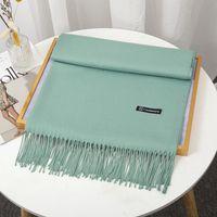 Women's Simple Style Solid Color Imitation Cashmere Tassel Scarf sku image 30