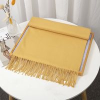 Women's Simple Style Solid Color Imitation Cashmere Tassel Scarf sku image 32