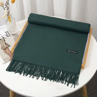 Women's Simple Style Solid Color Imitation Cashmere Tassel Scarf sku image 7
