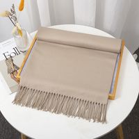 Women's Simple Style Solid Color Imitation Cashmere Tassel Scarf sku image 11