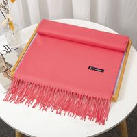 Women's Simple Style Solid Color Imitation Cashmere Tassel Scarf sku image 23