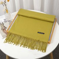 Women's Simple Style Solid Color Imitation Cashmere Tassel Scarf sku image 31