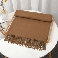 Women's Simple Style Solid Color Imitation Cashmere Tassel Scarf sku image 19