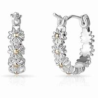 1 Pair Simple Style Flower Plating Alloy Gold Plated Earrings main image 5
