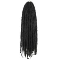 Women's Punk Street High Temperature Wire Long Curly Hair Wigs sku image 3