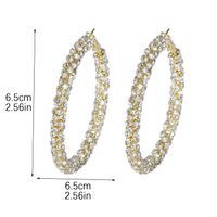 1 Pair Simple Style Solid Color Plating Inlay Rhinestone Rhinestones Silver Plated Earrings main image 8