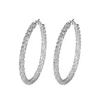 1 Pair Simple Style Solid Color Plating Inlay Rhinestone Rhinestones Silver Plated Earrings main image 7