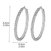 1 Pair Simple Style Solid Color Plating Inlay Rhinestone Rhinestones Silver Plated Earrings main image 6