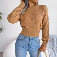 Women's Sweater Long Sleeve Sweaters & Cardigans Hollow Out Casual Solid Color Lingge main image 5