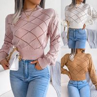 Women's Sweater Long Sleeve Sweaters & Cardigans Hollow Out Casual Solid Color Lingge sku image 5