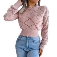 Women's Sweater Long Sleeve Sweaters & Cardigans Hollow Out Casual Solid Color Lingge main image 3