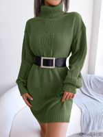 Women's Sweater Dress Casual Turtleneck Long Sleeve Solid Color Above Knee Street sku image 10