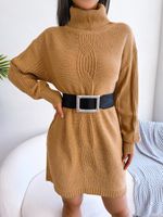 Women's Sweater Dress Casual Turtleneck Long Sleeve Solid Color Above Knee Street main image 4