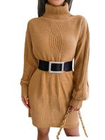 Women's Sweater Dress Casual Turtleneck Long Sleeve Solid Color Above Knee Street main image 3