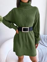 Women's Sweater Dress Casual Turtleneck Long Sleeve Solid Color Above Knee Street main image 2