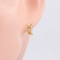 1 Pair Lady Round Plating Inlay Sterling Silver Zircon Gold Plated Earrings main image 3