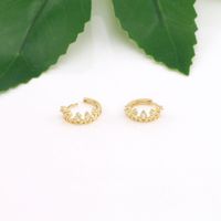 1 Pair Lady Round Plating Inlay Sterling Silver Zircon Gold Plated Earrings main image 4