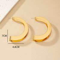 1 Pair Exaggerated C Shape Plating Metal Drop Earrings main image 5