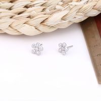 1 Pair Simple Style Flower Plating Inlay Sterling Silver Zircon White Gold Plated Ear Studs main image 3