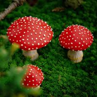 Casual Mushroom Synthetic Resin Daily Decoration main image 5