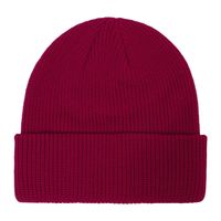 Unisex Commute Solid Color Eaveless Wool Cap sku image 12